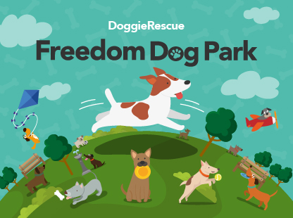 freedom-dogpark-flyer