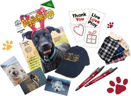Doggie Rescue Merchandise 3