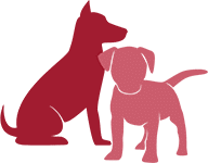 icon bonded dog pairs