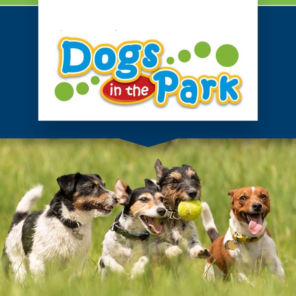 Dogs in the Park