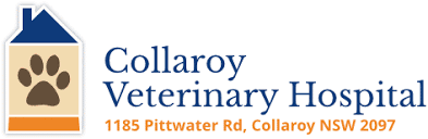 Collaroy Animal Hospital