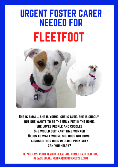 Fleetfoot poster