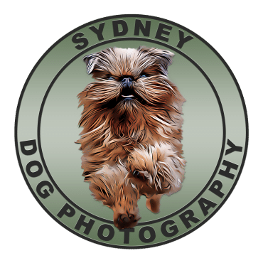 Sydney Dog photography logo