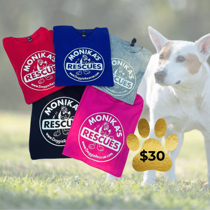 DoggieRescue t-shirts