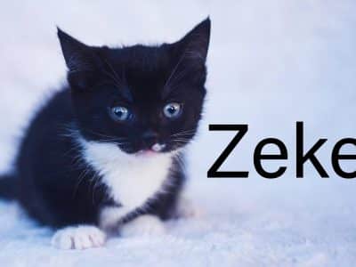 zeke