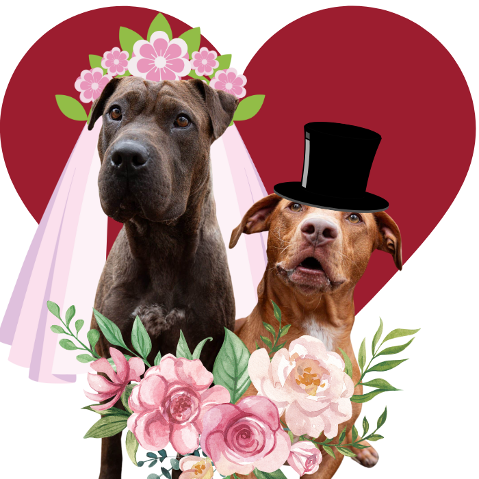 Wedding registry page graphic