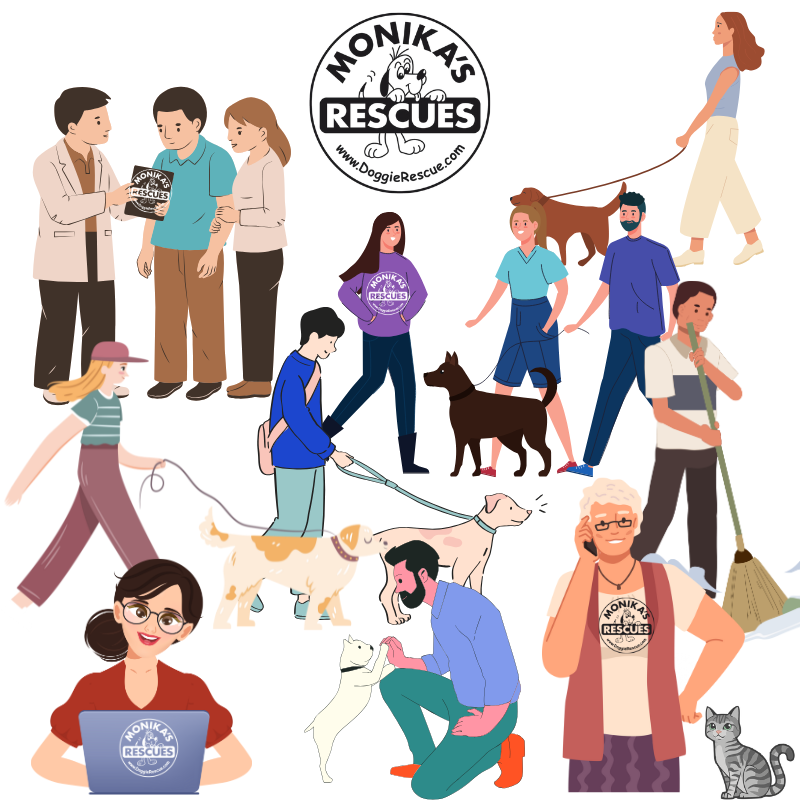 customer service ad