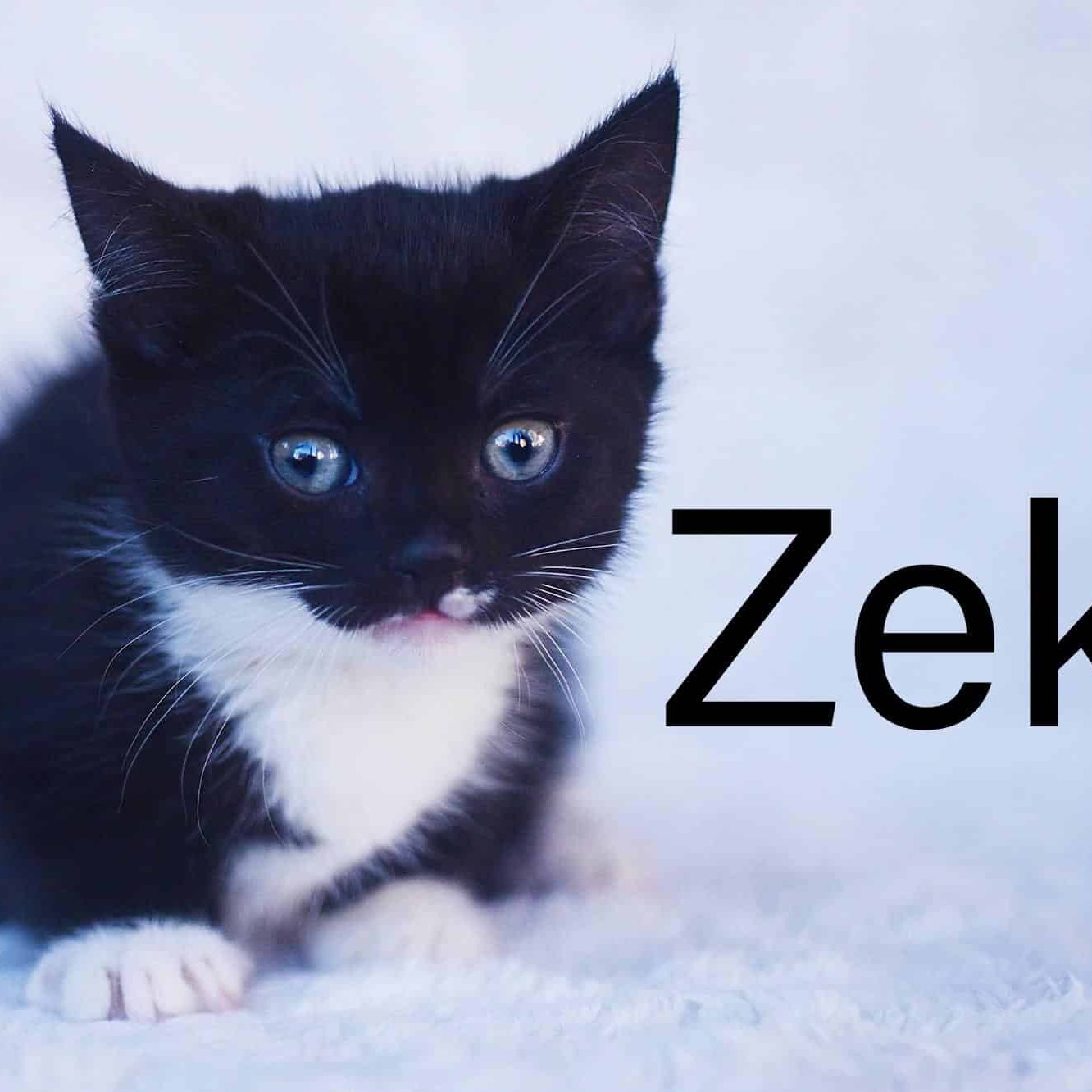 zeke